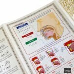 FN Orta Boy Bilgisayar Hattı Arapça Tepe Varaklı Termo Deri Tecvidli Kuran-ı Kerim - Görsel 8